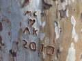 A Tree Carving of Initials and a Heart