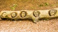 Tree carvings Royalty Free Stock Photo