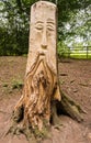 Tree carvings Royalty Free Stock Photo