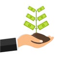 Tree with cash on hand. A man holds a handful of land with a money tree. Businessman hand with coin tree. Royalty Free Stock Photo