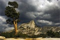 Tree and Cathedral Peak