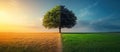 Tree in Changing Climate: Half Dry, Half Green Grass Surrounding Symbolic of Climate Change. Web Banner with Copy Space Royalty Free Stock Photo