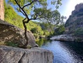 Chassezac river bank in lozere, cevenne, france