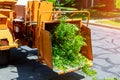 Wood chipper blowing tree branches cut A tree chipper or wood chipper is a portable machine used for reducing wood into smaller wo Royalty Free Stock Photo