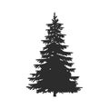 Tree, Christmas fir tree, black silhouette isolated on white background. Vector, spruce tree silhouette, vector illustration Royalty Free Stock Photo