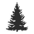 Tree, Christmas fir tree, black silhouette isolated on white background. Vector, spruce tree silhouette, vector illustration Royalty Free Stock Photo