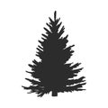 Tree, Christmas fir tree, black silhouette isolated on white background. Vector, spruce tree silhouette, vector illustration Royalty Free Stock Photo