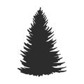Tree, Christmas fir tree, black silhouette isolated on white background. Vector, spruce tree silhouette, vector illustration Royalty Free Stock Photo