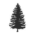 Tree, Christmas fir tree, black silhouette isolated on white background. Vector, spruce tree silhouette, vector illustration Royalty Free Stock Photo