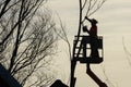 Tree climber with saw and harness, lumberjack at work Royalty Free Stock Photo