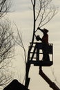 Tree climber with saw and harness, lumberjack at work Royalty Free Stock Photo