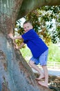 Tree Climbing Royalty Free Stock Photo