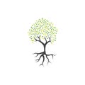 Tree clip art graphic design template vector isolated Royalty Free Stock Photo