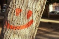 tree close-up, painted smiley face on the tree with red paint, close-up smiling smiley face on the tree Royalty Free Stock Photo