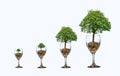 Tree Coin glass Isolate increase saving money hand Coin tree The tree grows on the pile. Saving money for the future. Investment I Royalty Free Stock Photo