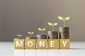 Tree on coins and wooden cubes with words money, finance.