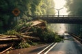 tree collapse on a bridge, causing a traffic jam