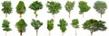 Tree collection isolated on white background 14 trees. Royalty Free Stock Photo