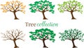 Tree Collection Vector isolated on white background, Set with six trees in different weather seasons. Label, logo, symbol Royalty Free Stock Photo