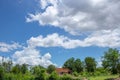 Tree on color background with blue sky. Green fields.A lonely house in the middle of the green rice field. paddy field in rural of Royalty Free Stock Photo