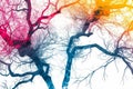 tree of colored neurons on a white background, neurography, expansion Royalty Free Stock Photo