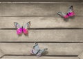 Tree colorful butterflies on a wooden background