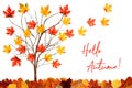 Tree With Colorful Leaf Decoration, Leaves Flying Away, Text Hello Autumn Royalty Free Stock Photo