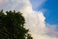 tree in combination with clouds