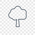 Tree concept vector linear icon isolated on transparent background, Tree concept transparency logo in outline style