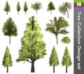Tree correction design set. 3D Illustration. Royalty Free Stock Photo