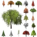 Tree correction design set. 3D Illustration. White background isolate. Nature and Gardens design Royalty Free Stock Photo