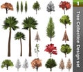 Tree correction design set. 3D Illustration. White background isolate. Nature and Gardens design Royalty Free Stock Photo