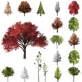 Tree correction design set. 3D Illustration. White background isolate. Nature and Gardens design Royalty Free Stock Photo