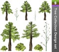 Tree correction design set. 3D Illustration. Royalty Free Stock Photo