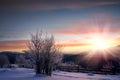 Tree covered by frost and mountain view on sunrise. natural winter background Royalty Free Stock Photo