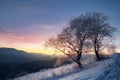 Tree covered by frost and mountain view on sunrise. natural winter background Royalty Free Stock Photo