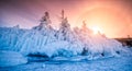 Tree covered with ice and snow at sunset in the shore of the soaring lake Baikal in winter, Siberia, Russia