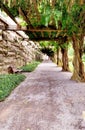 Tree covered Path of Destiny walkway Royalty Free Stock Photo
