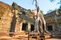 Tree Covered Temple in Cambodia`s Angkor Wat Archaeological Park