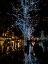 Tree covered in white christmas lights reflecting on the rainy ground in new york during christmas Royalty Free Stock Photo