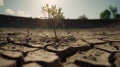 Tree on cracked ground due to drought and global warming. Water shortage and crisis environment. Royalty Free Stock Photo