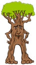 Tree creature fantasy character