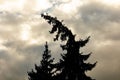 A tree with a crooked trunk is silhouetted against a cloudy sky Royalty Free Stock Photo