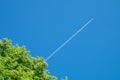 A tree crown and long trail of jet plane on blue sky.