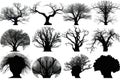 Tree Crown Silhouettes On White Background, Halloween. Generative AI