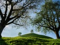 Tree crowns on a foreground and green meadow with hills on a background in Switzerland.