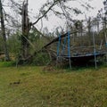 Tree crushing trampoline Royalty Free Stock Photo