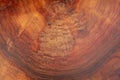 Abstract background like slice of wood timber natural. Royalty Free Stock Photo
