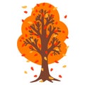 Cute orange autumn tree isolated on white background. Royalty Free Stock Photo