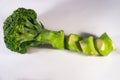 Tree Cutted Green Brocolli on White Background